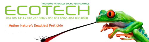Insect removal Services of Twin Cities and Minneapolis St. PAul