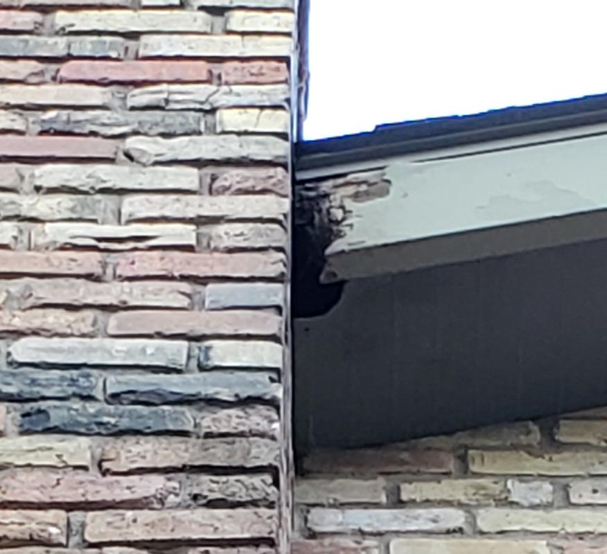 Hole in fascia from squirrel damage