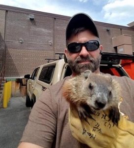 Humane And Effective Woodchuck Removal Services