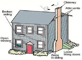 Rodent-Proofing your Home in Minnesota