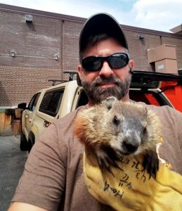 Woodchuck Elimination in Minneapolis